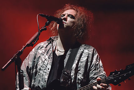 the wombats